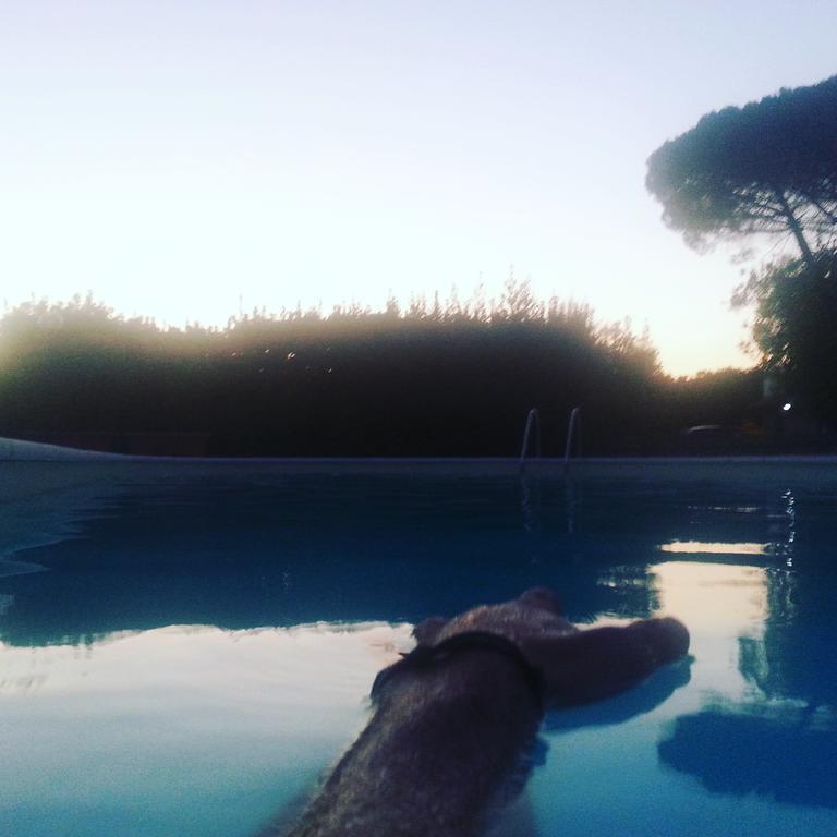 Agriturismo Casale Zuccari Caprarola Exterior foto